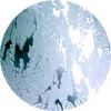 Coral textured glass