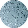 Ice textured glass