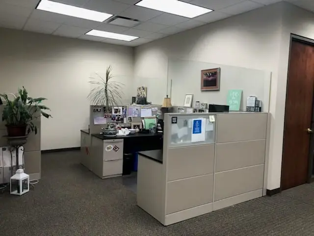 Office Sneeze Guards