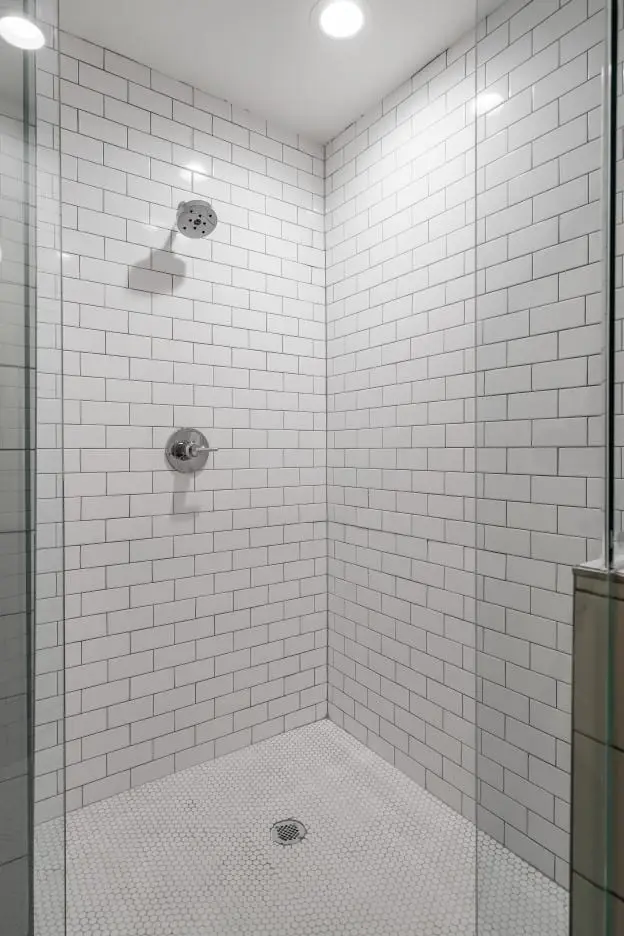 inline shower door using brushed nickel hardware